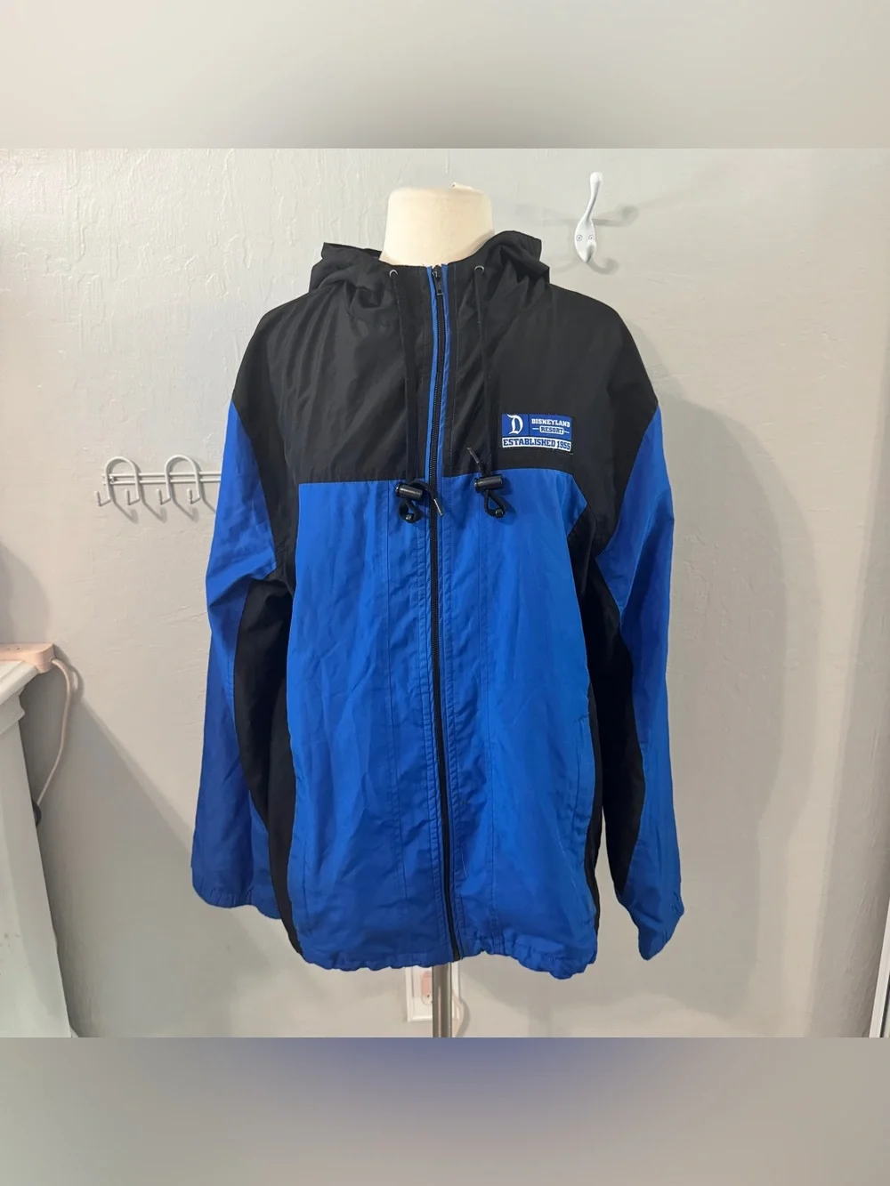 Disneyland Windbreaker